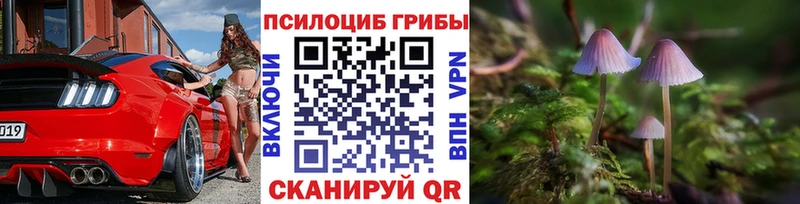 Псилоцибиновые грибы мухоморы  Купить закладки  Сосногорск 