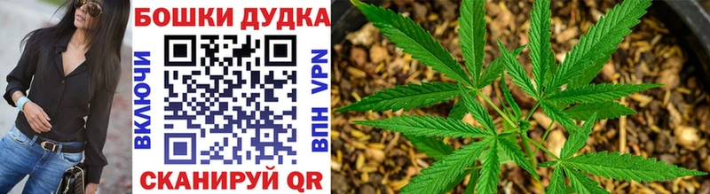 Купить  Сосногорск  Канабис конопля 